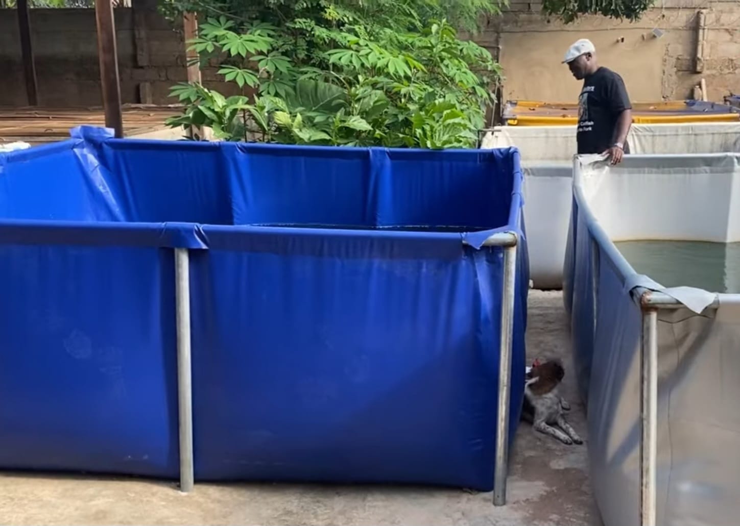 John Adjei inspecting the ponds