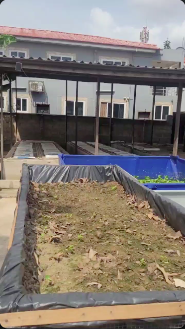 John Adjei, Founder of JA Catfish Masters