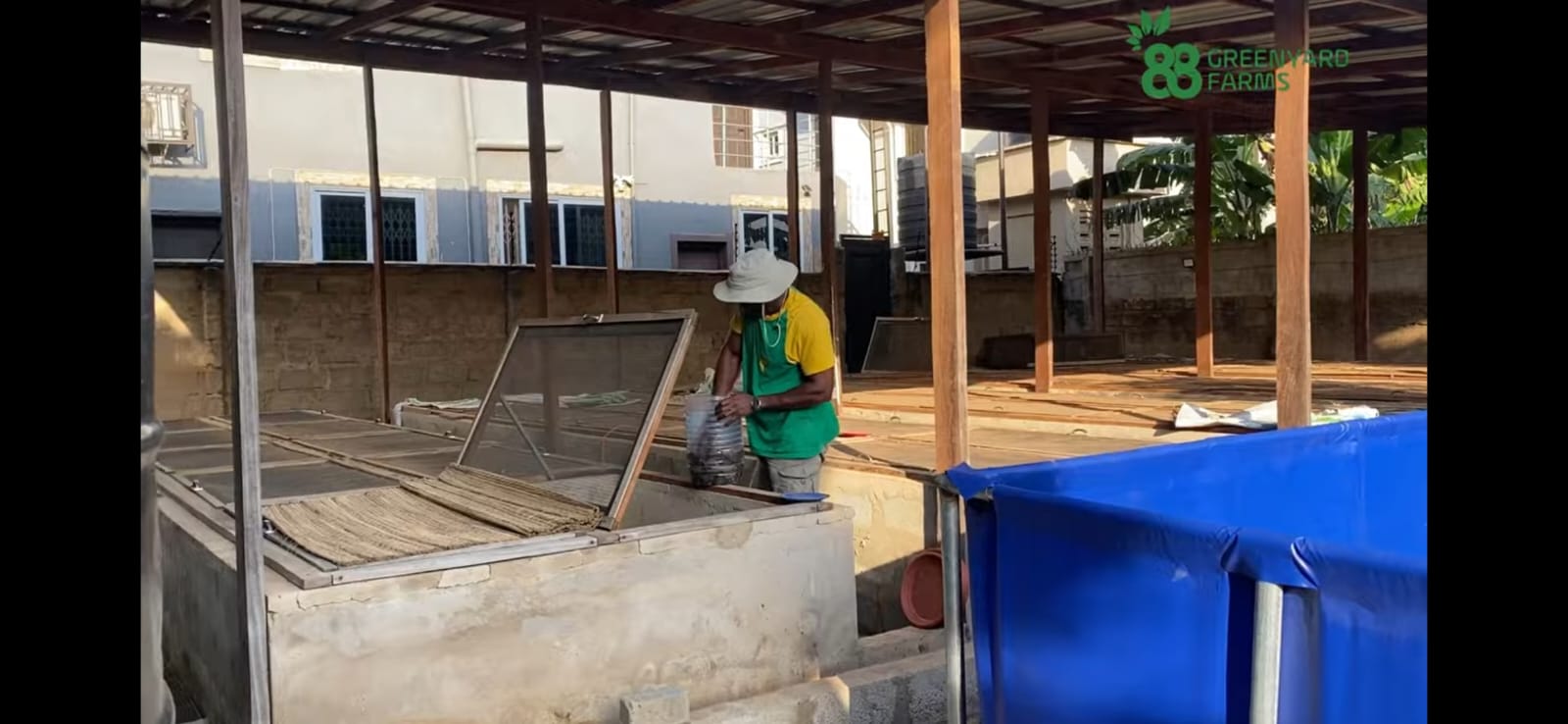 John at work — snail bed care